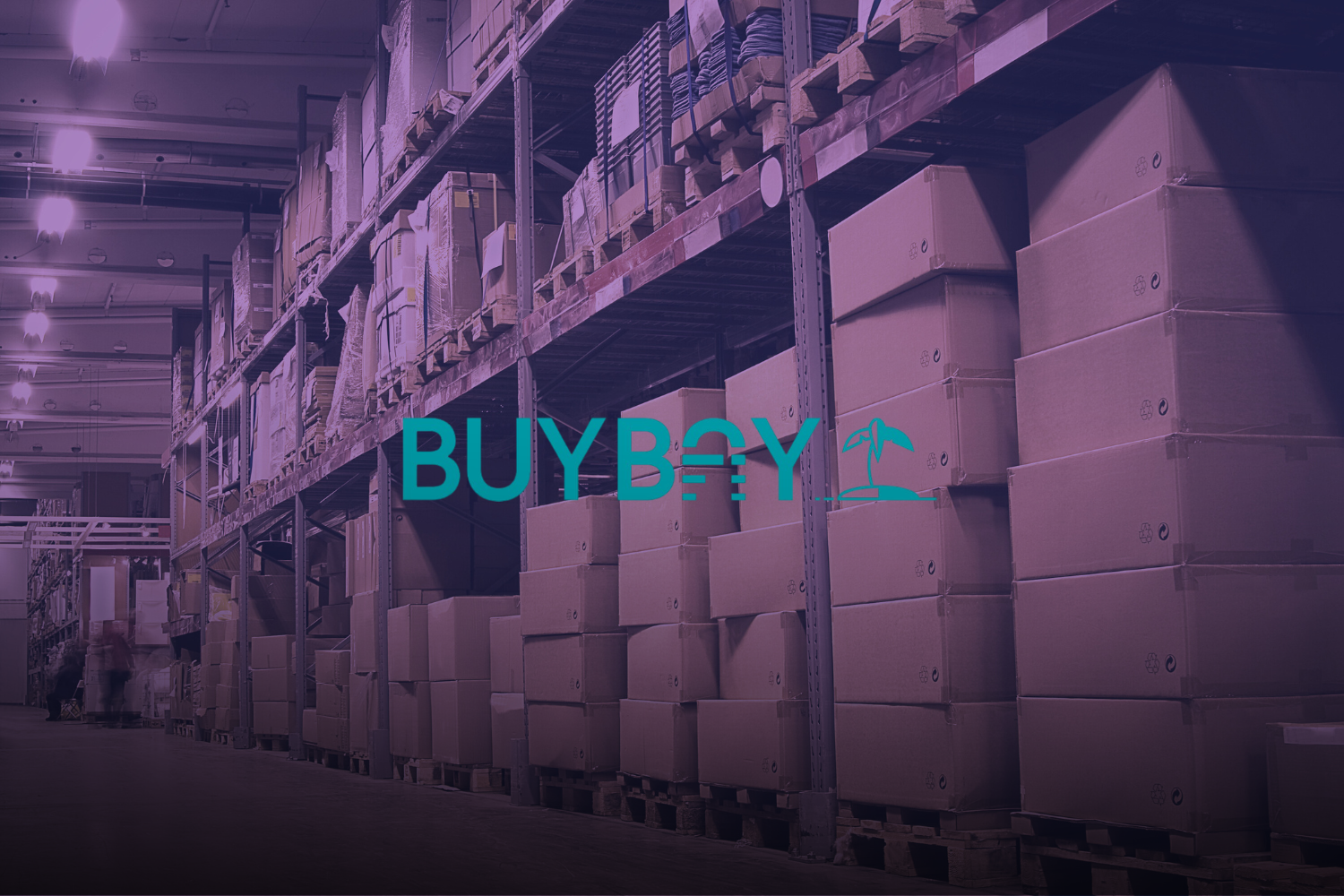 BuyBay warehouse success story