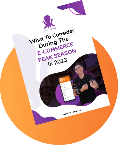 What to Consider during E-Commerce Peak Season in 2023?